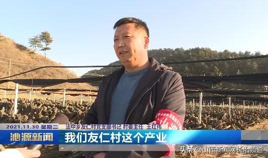 沁源县法中乡友仁村：黑木耳产业为乡村振兴添活力