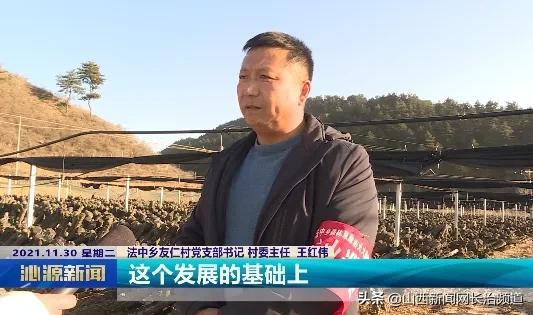 沁源县法中乡友仁村：黑木耳产业为乡村振兴添活力