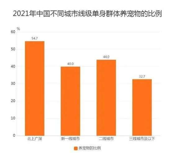 宠物殡葬：主人爱的供养，商家的财富密码