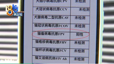 此处消费纠纷警情高发 晚上进店没看到