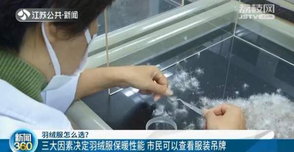 鹅绒比鸭绒更保暖？专家教你挑选羽绒服正确方法