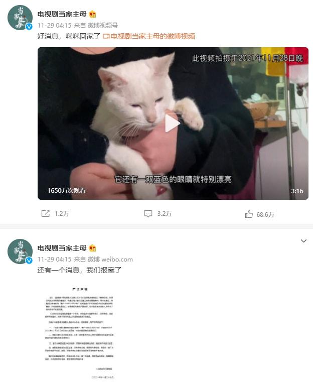 知名导演斥虐猫剧组“缺艺德”！于正彻底放弃宣传，低分惨淡收尾