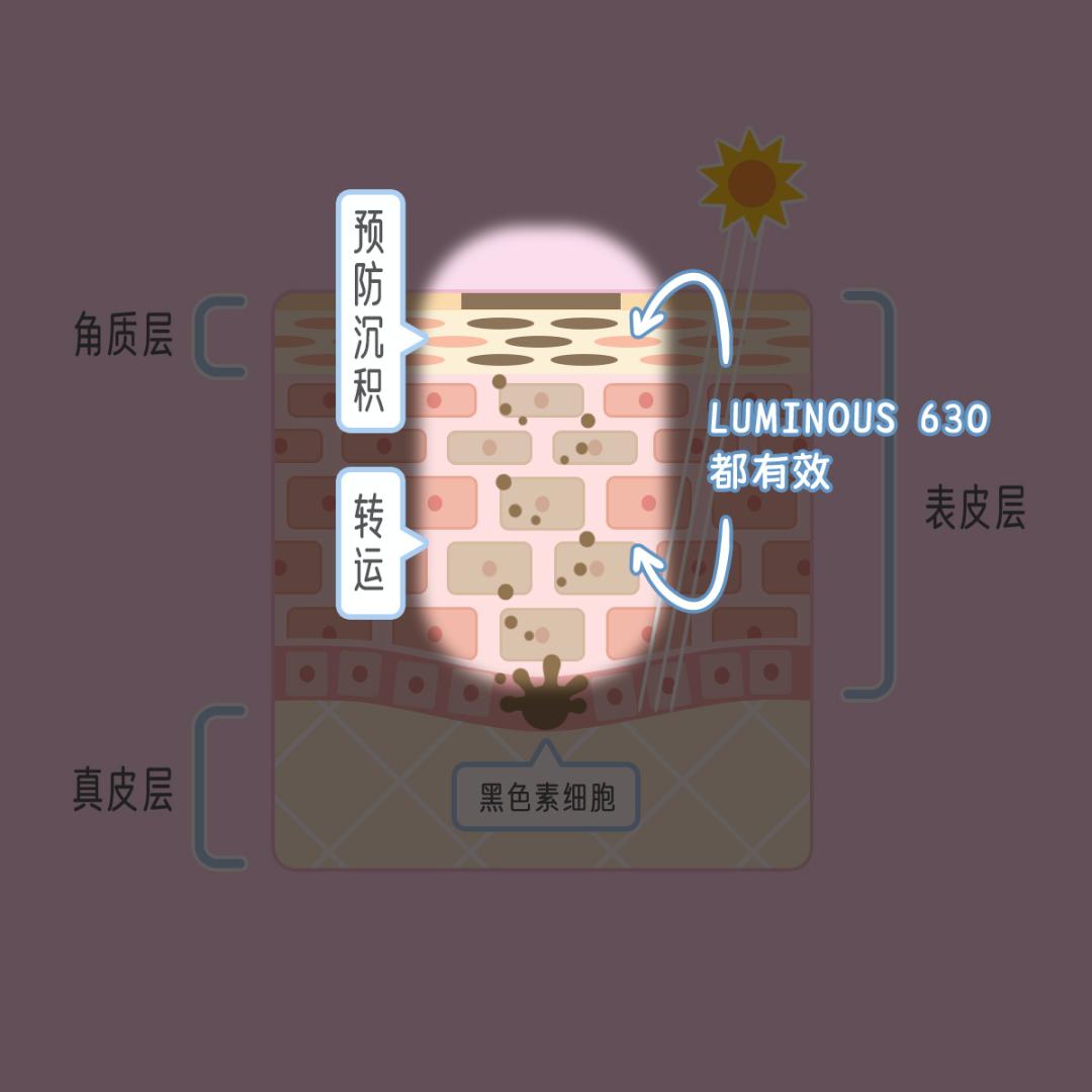 到底是什么影响了你的肤色？（内附变白攻略）