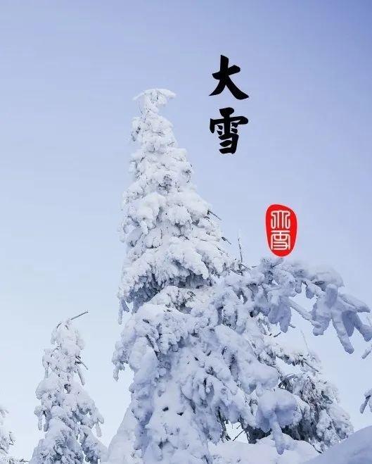 今日大雪｜瑟瑟寒风起 氤氲茶香里！蚌埠疾控带你进入养生状态！