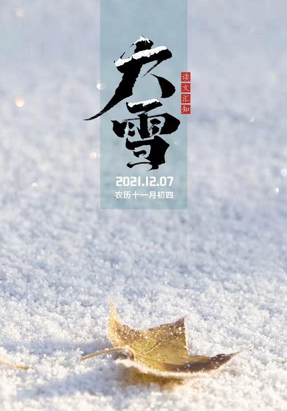 大雪当天吃“三雪”，今天的餐桌你加了这道菜吗？