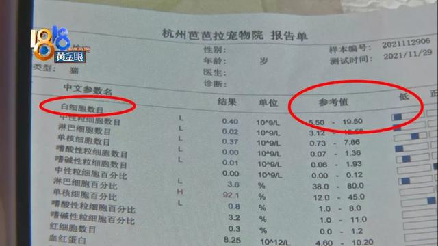 术后几天查出猫瘟，跟手术有没有关系