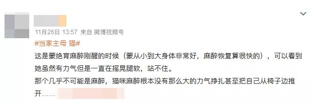 热播剧出品方回应白猫被注射不明液体：不便回答？！