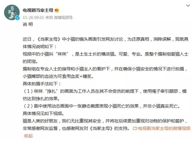 热播剧出品方回应白猫被注射不明液体：不便回答？！