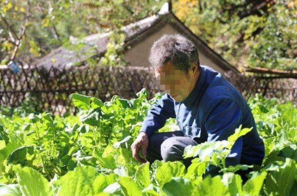 6旬老汉一天一碗菜，骨骼烂成“蜂窝”，医生痛批：这菜怎能天天吃