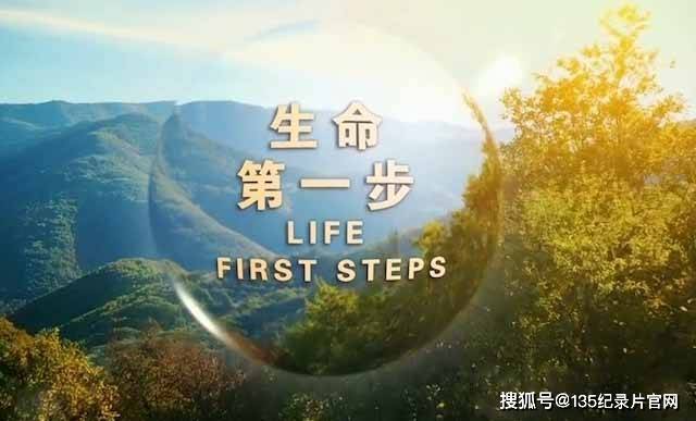 生命诞生纪录片《生命第一步 Life First Steps》全3集