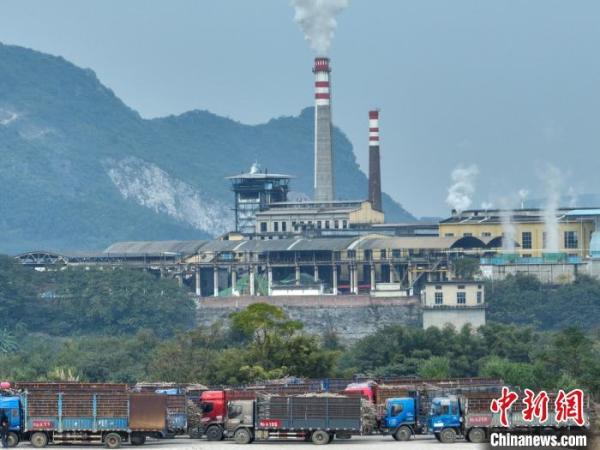 广西“国家糖料生产基地县”榨季开始 卡车卸蔗如坐“摇摇车”