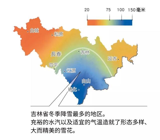 冬日吉林，一波抗冻“暖”知识来袭！