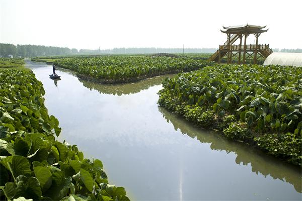 品质提升品牌保护双轮驱动——兴化大闸蟹荣获江苏十强农产品区域公用品牌