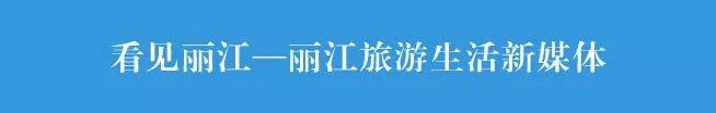 青春四季 相宜相悦 敢问今年冬季可有缘执子之手