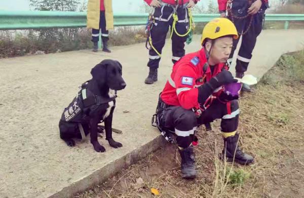 搜救犬走失 全城搜寻2小时后传来好消息……