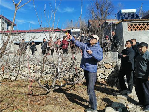 第一书记邀请果树专家走进田间地头 科技助力乡村振兴