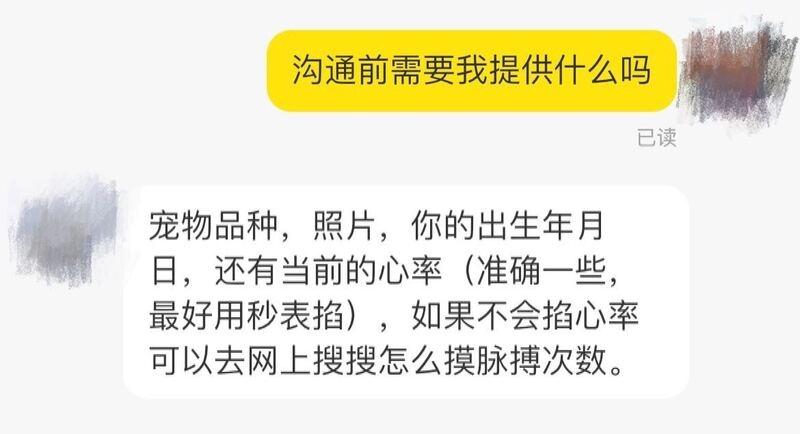 自称能与“动物传心”，甚至与离世动物建立联结，宠物沟通师是玄学还是骗局？