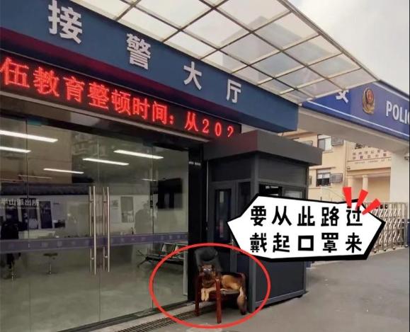 “戴口罩”“不扎堆”“少聚餐”……防疫犬嘿燕给市民的温馨提醒