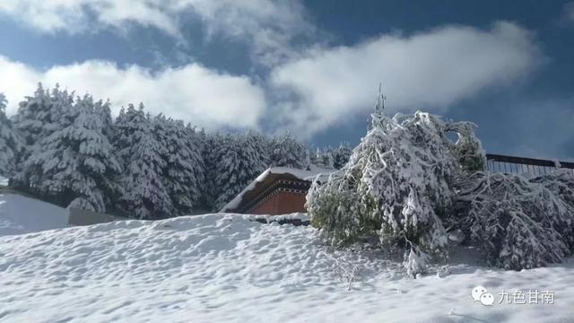 人间下了场甘南雪