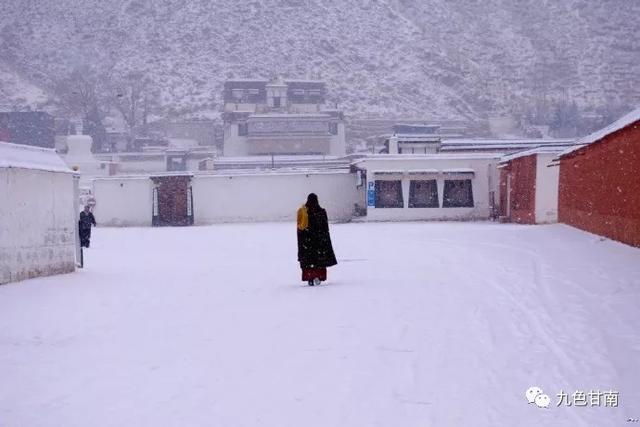 人间下了场甘南雪