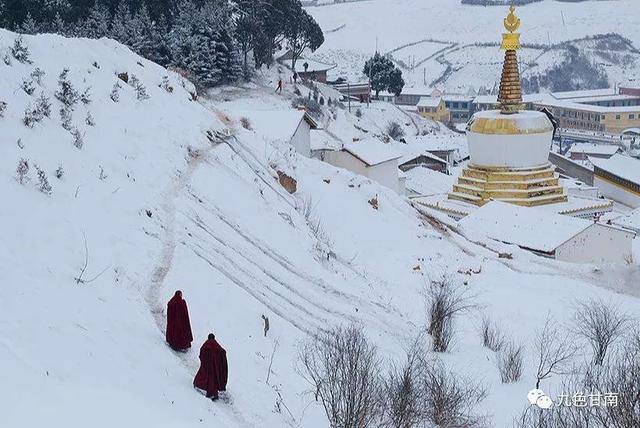 人间下了场甘南雪