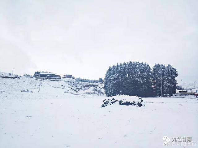 人间下了场甘南雪