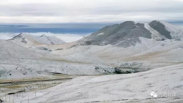 人间下了场甘南雪