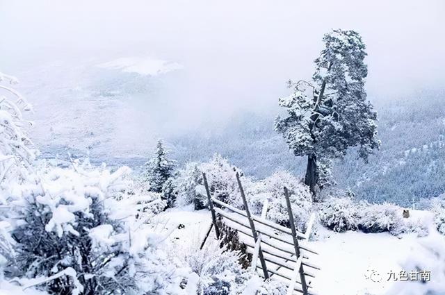 人间下了场甘南雪