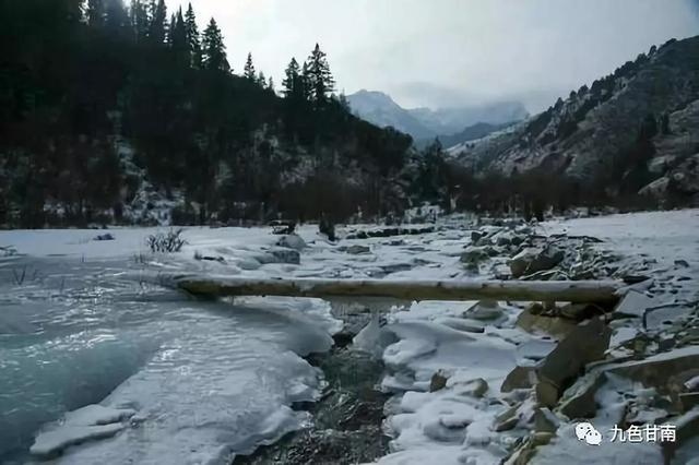 人间下了场甘南雪