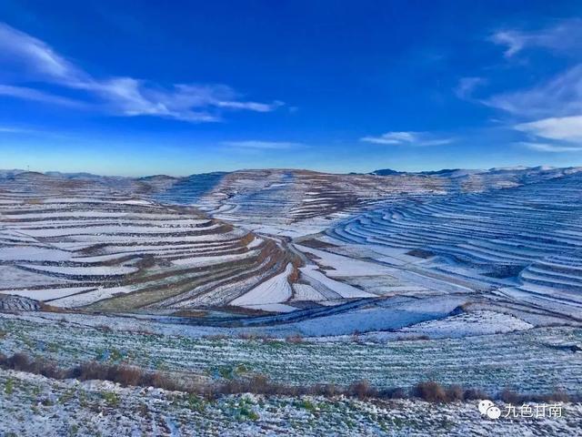 人间下了场甘南雪