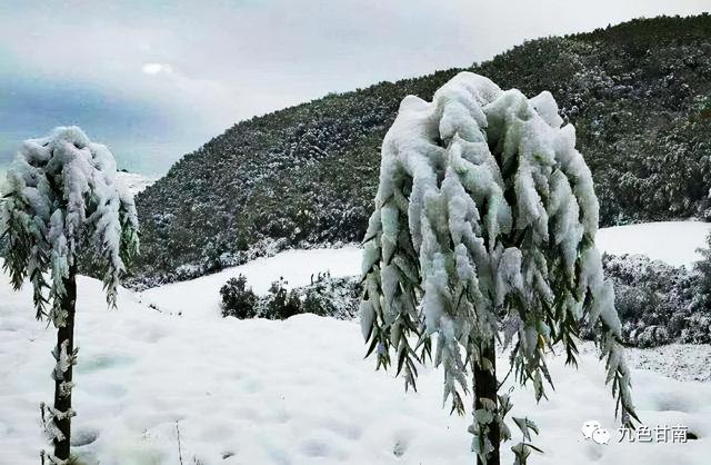 人间下了场甘南雪