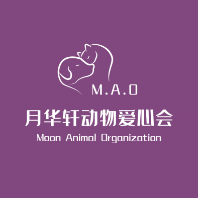 M.A.O承诺：为流浪动物撑起一片天!