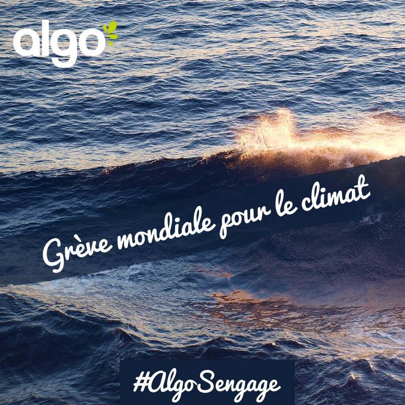 阿蔻ALGO，天然海藻美缝，源自法国