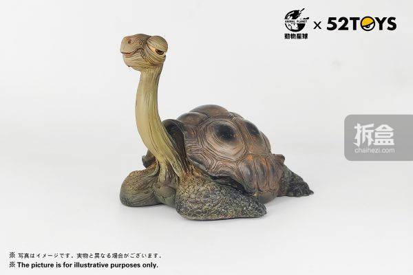 动物星球 52TOYS 歇会儿2 加拉帕戈斯象龟 仿真动物模型