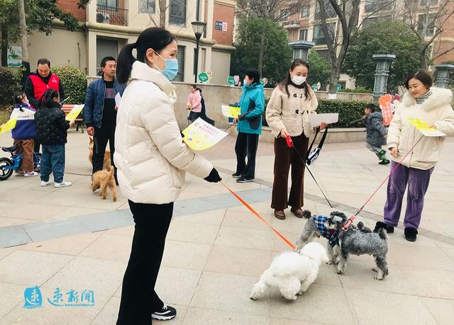 图说｜文明养犬“宠”爱有方