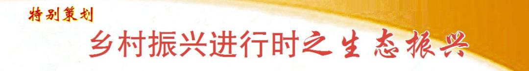 生态宜居的美丽乡村焕发新姿——梨树县小宽镇改善人居环境记事