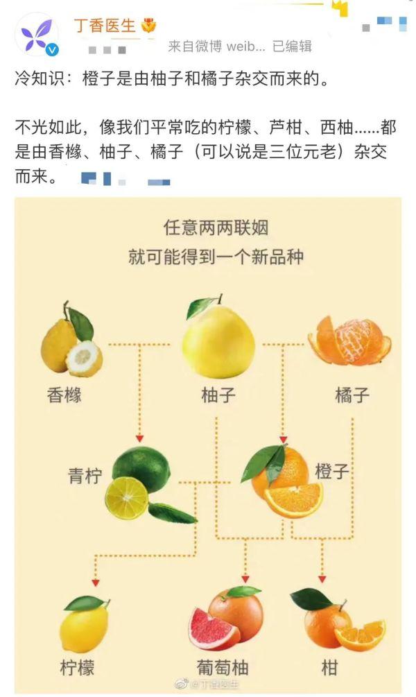 你知道柠檬、橙子、西柚是怎么来的吗？看完只想说“贵圈真乱”