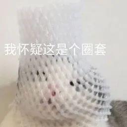 流浪渣猫脚踏五只船，受害人纷纷找上门，被揭穿后结局惨不忍睹