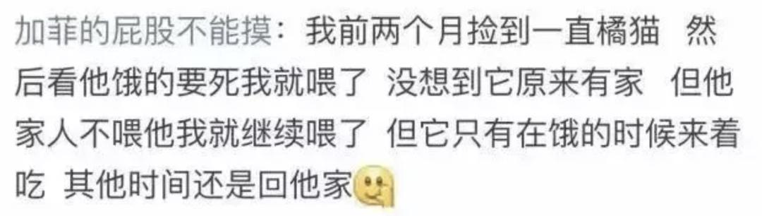 流浪渣猫脚踏五只船，受害人纷纷找上门，被揭穿后结局惨不忍睹