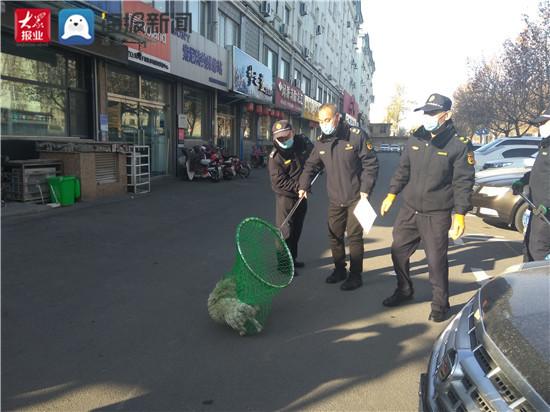 创城进行时 | 张店区体育场街道持续开展流浪犬捕捉行动