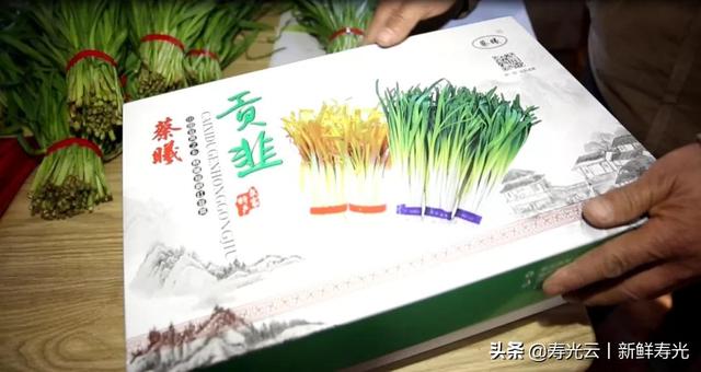 ?新宠！寿光这个村靠种植它，走上致富路