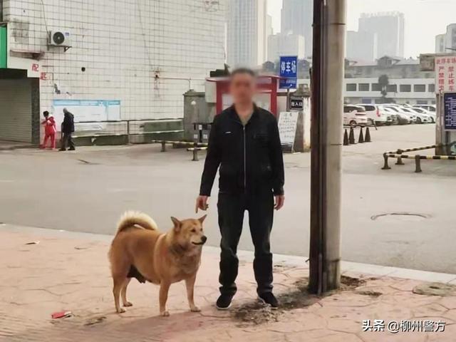 柳州：柳东警方重点整治不文明养犬行为 一经发现严厉查处