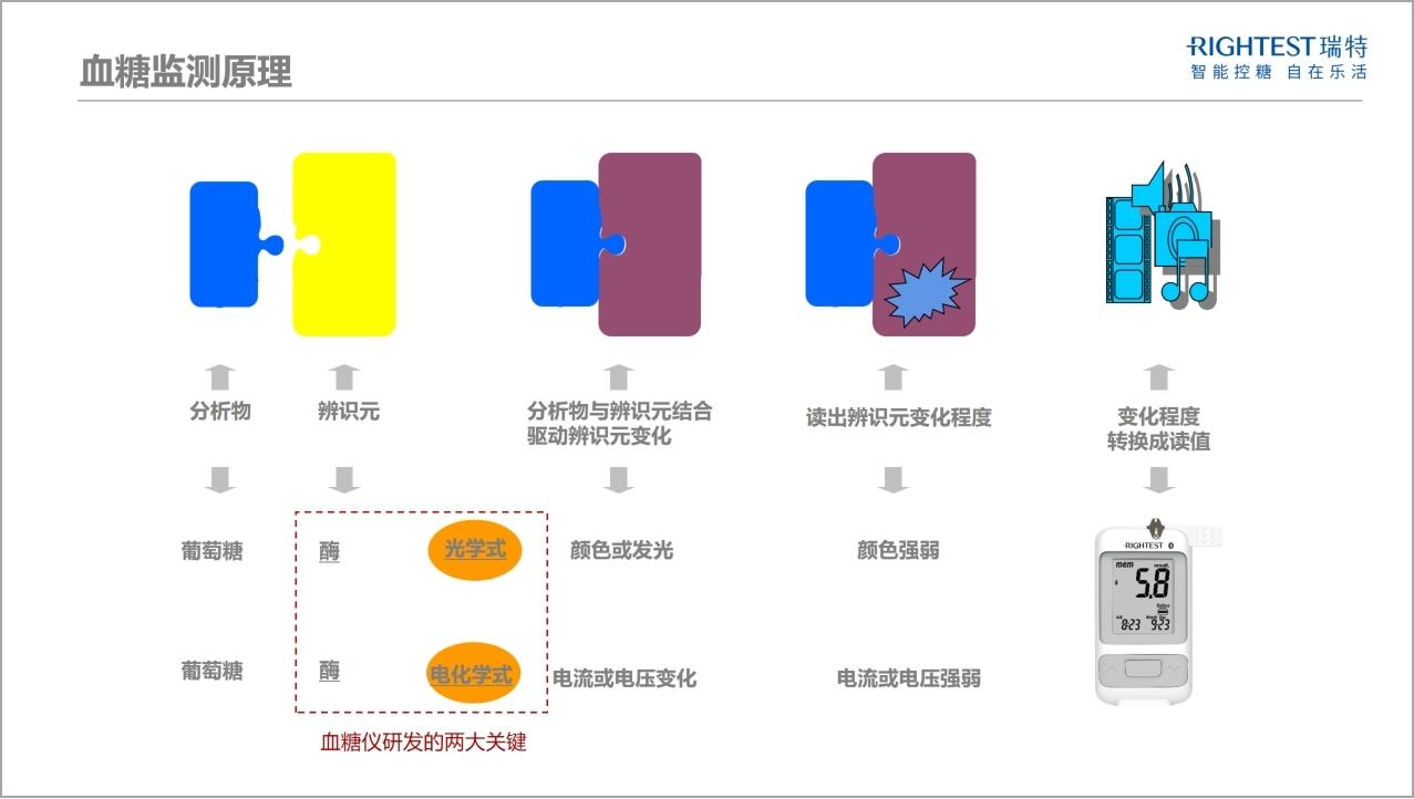 从测量原理到准确度实验，华广瑞特带你聊聊有关血糖仪的那些事