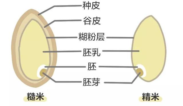 香蕉长斑还能吃吗？7 种可能被你丢掉的好东西……