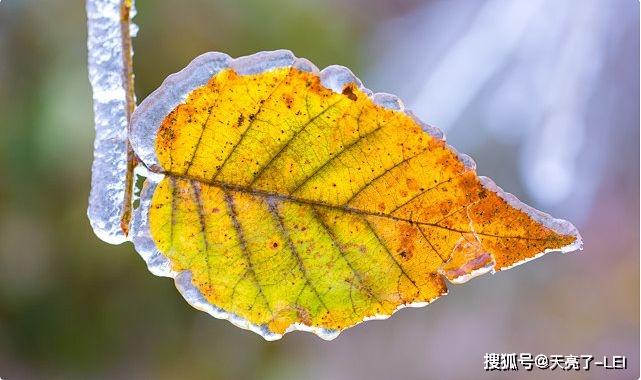 带孙子和带外孙，老人到底对谁更失望呢？二位老人说出心里话