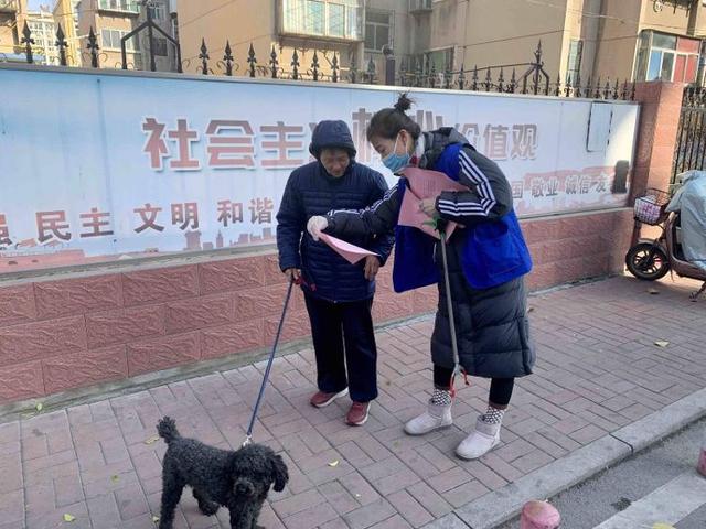 创城进行时丨张店区科苑街道：妥善安置流浪犬，营造文明养犬新氛围