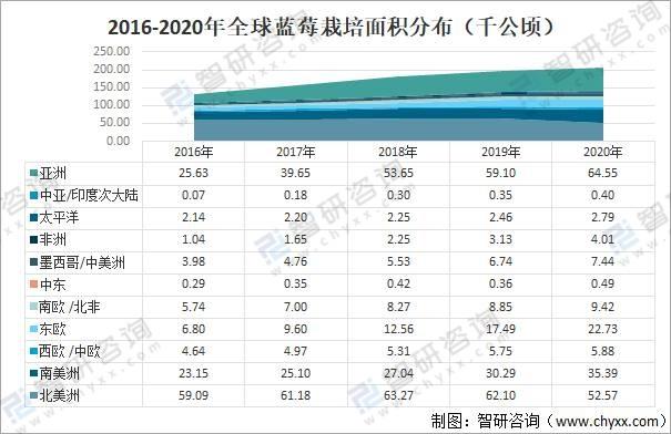 2020全球蓝莓种植情况分析：中国已成为全球最大的蓝莓种植地，产量占比达20%