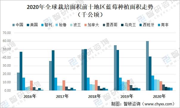 2020全球蓝莓种植情况分析：中国已成为全球最大的蓝莓种植地，产量占比达20%