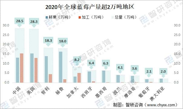 2020全球蓝莓种植情况分析：中国已成为全球最大的蓝莓种植地，产量占比达20%