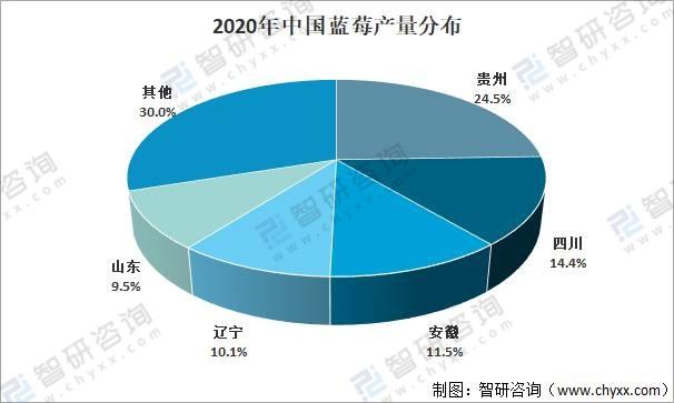 2020全球蓝莓种植情况分析：中国已成为全球最大的蓝莓种植地，产量占比达20%